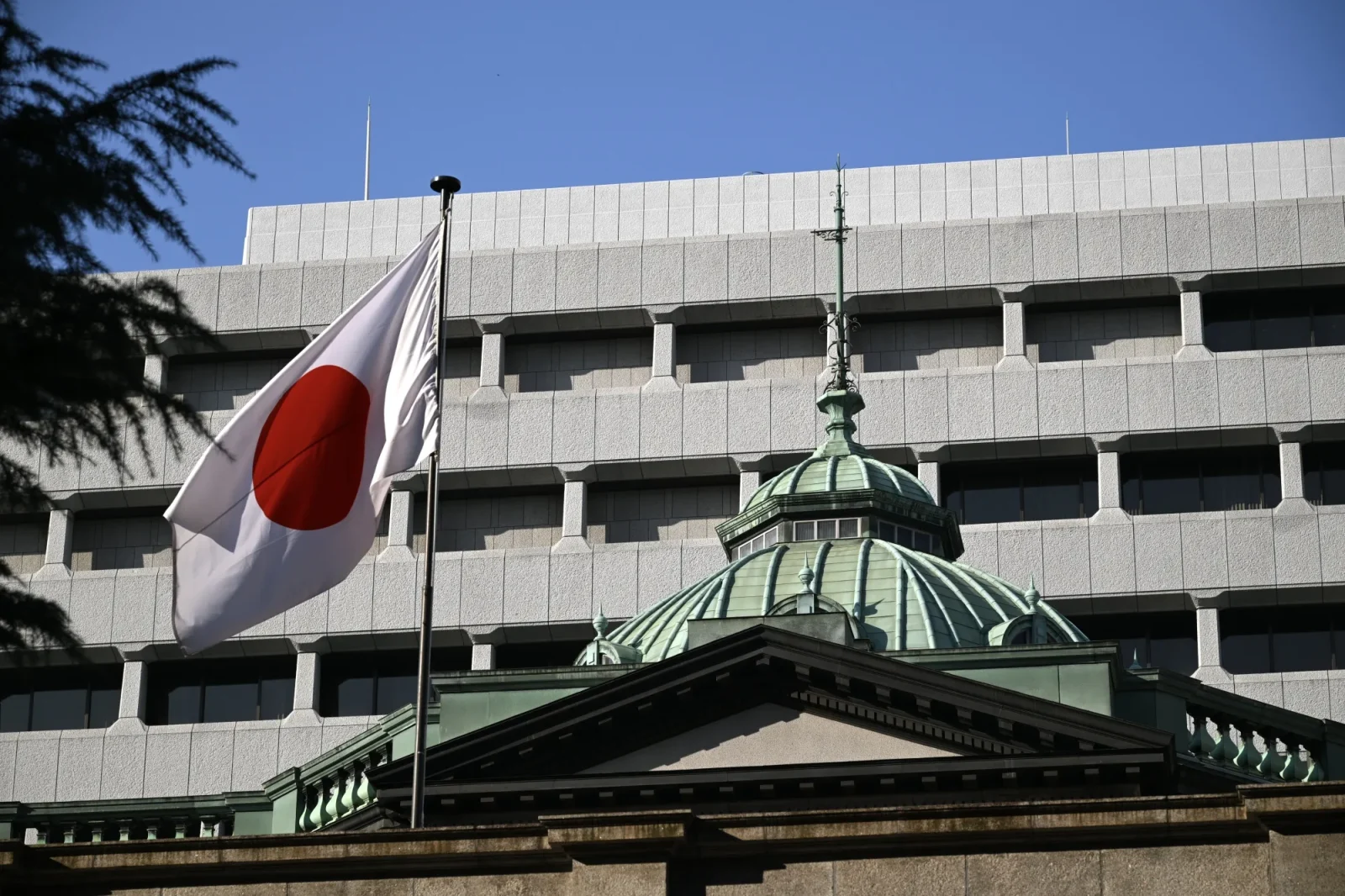 Bank of Japan Holds Rates, Tesla Faces Leadership Uncertainty